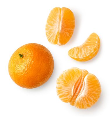 Satsuma Mandarins Galpin Family