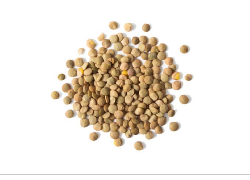 Green Lentils Dry