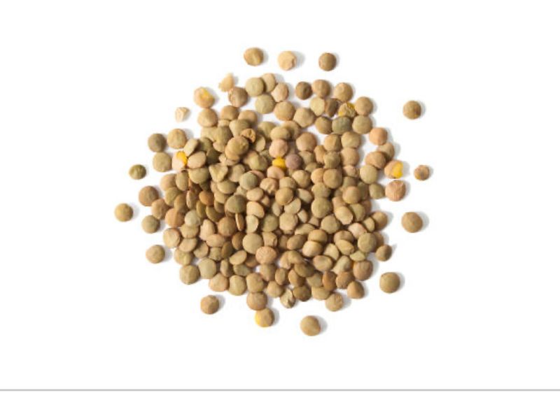 Green Lentils Dry