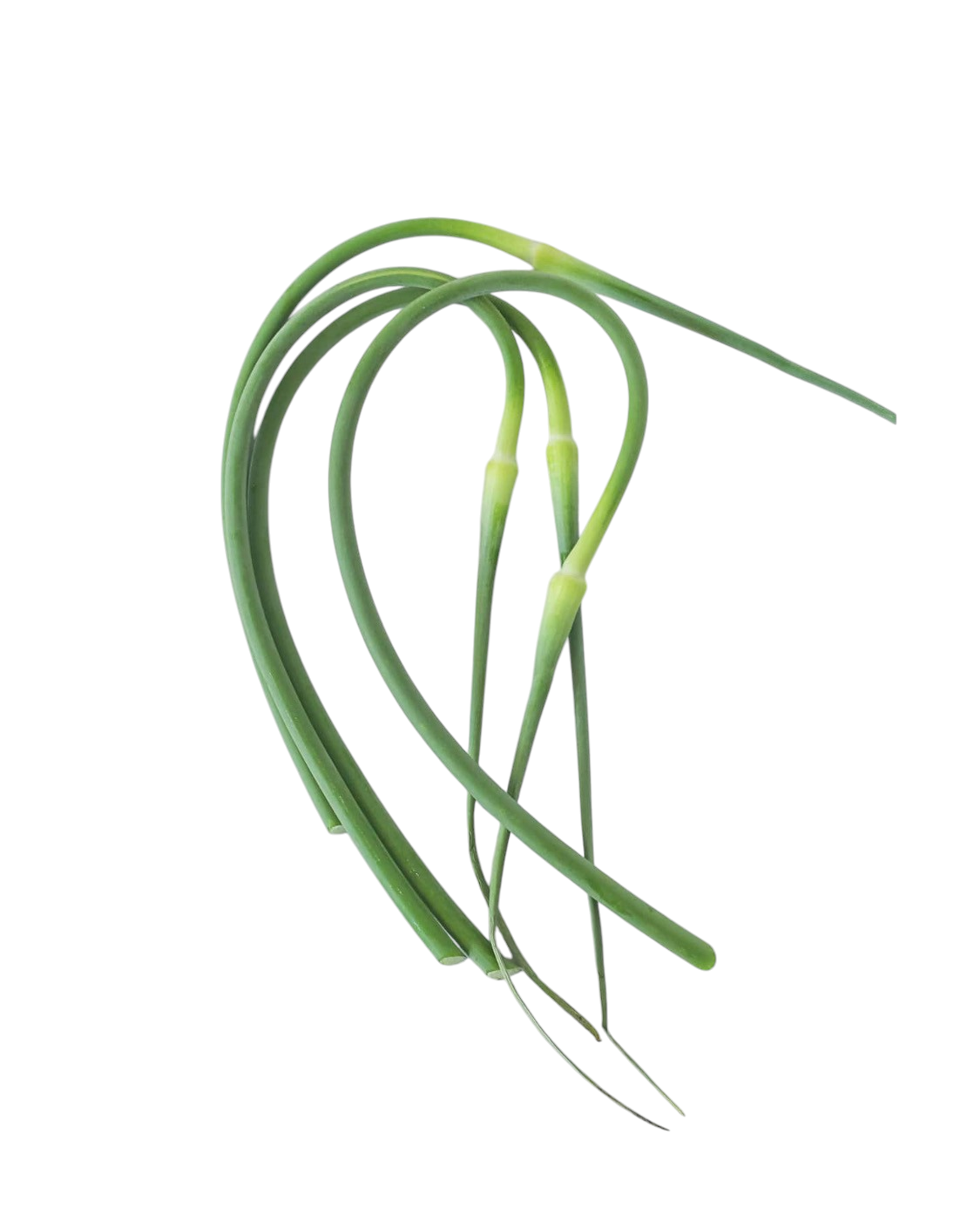 Garlic Scapes