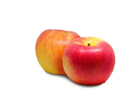 Evercrisp Apples