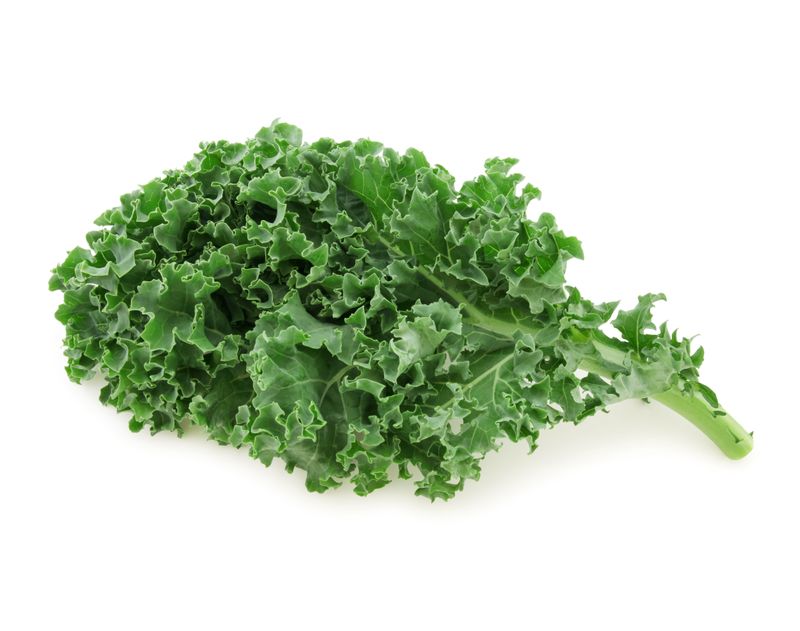 Kale from Lancaster
