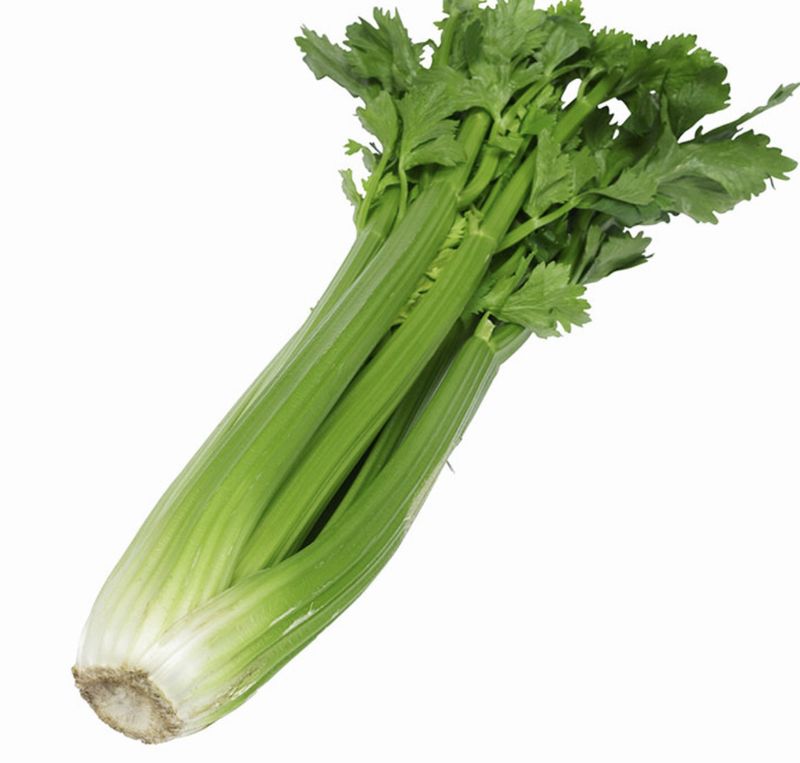Celery