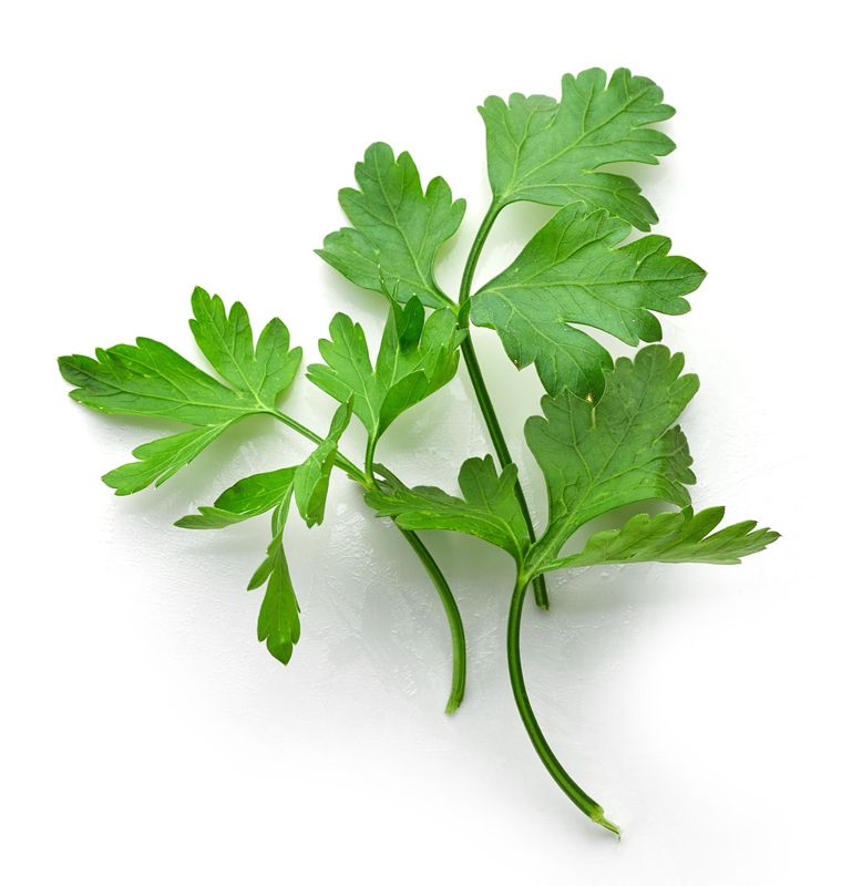 Parsley