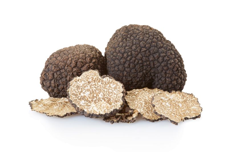 Fresh Summer Truffles