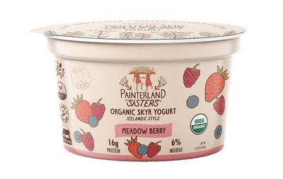 Meadow Berry Organic Skyr Yogurt Painterland Sisters