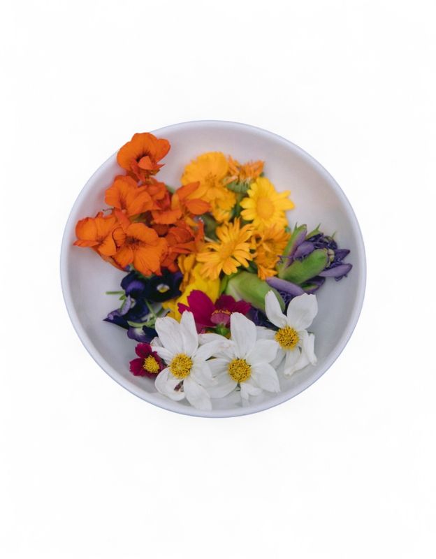 Edible Flowers