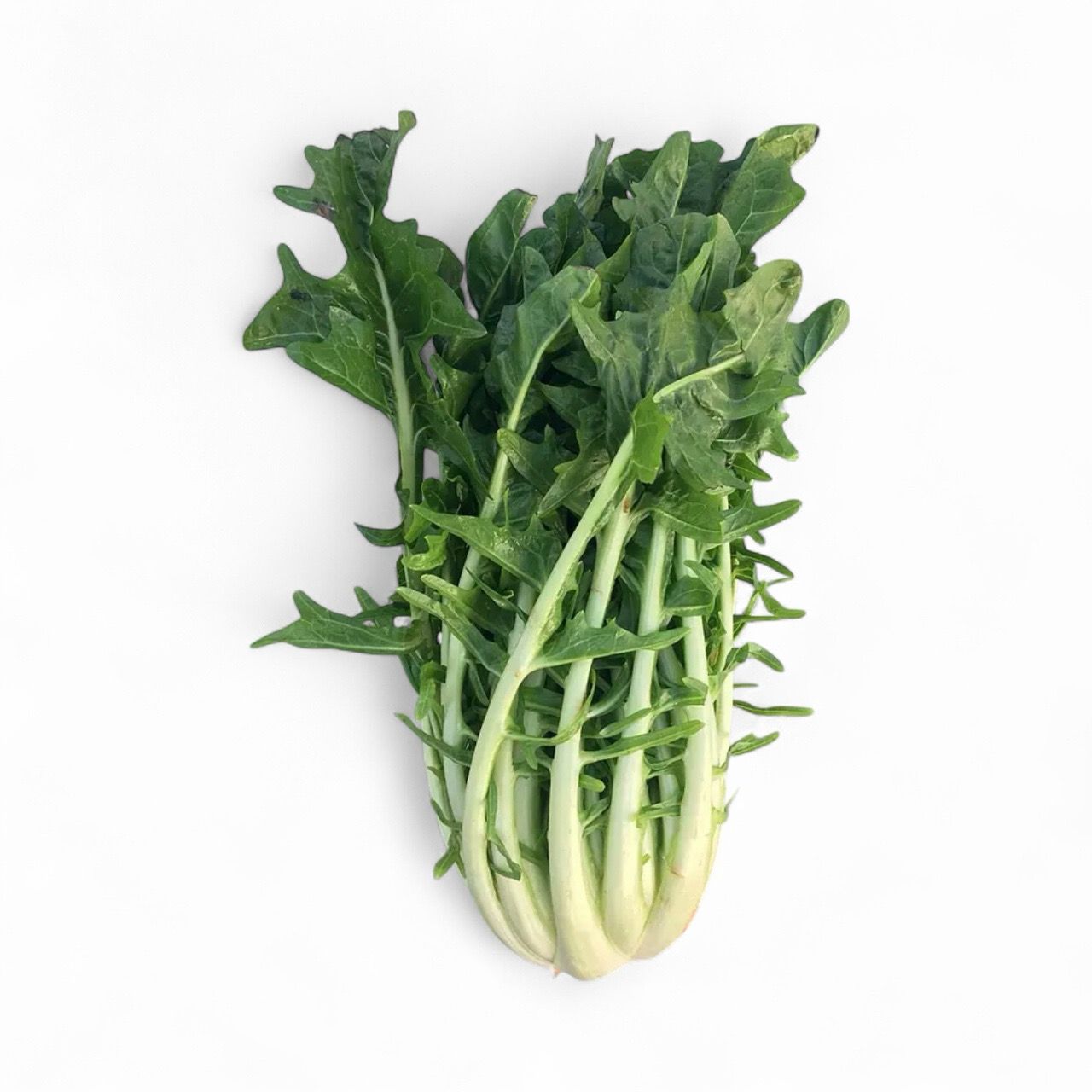 Puntarelle Italian