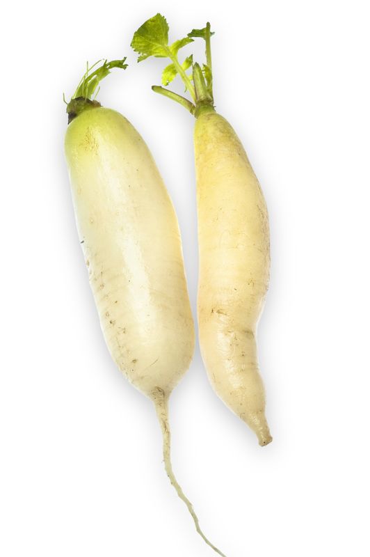 White Daikon Radishes