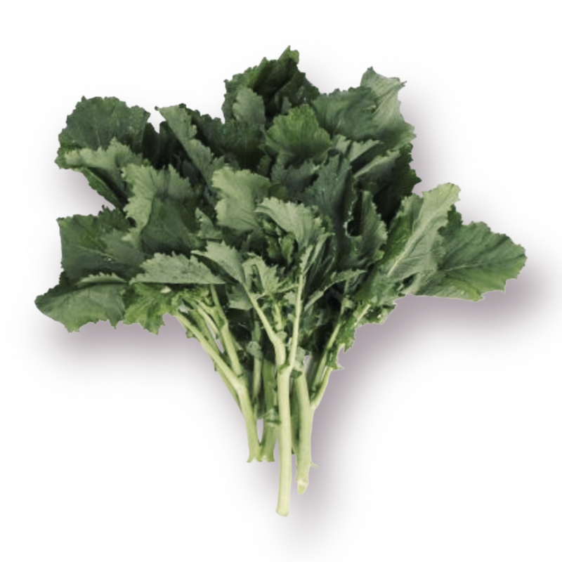 Broccoli Rabe