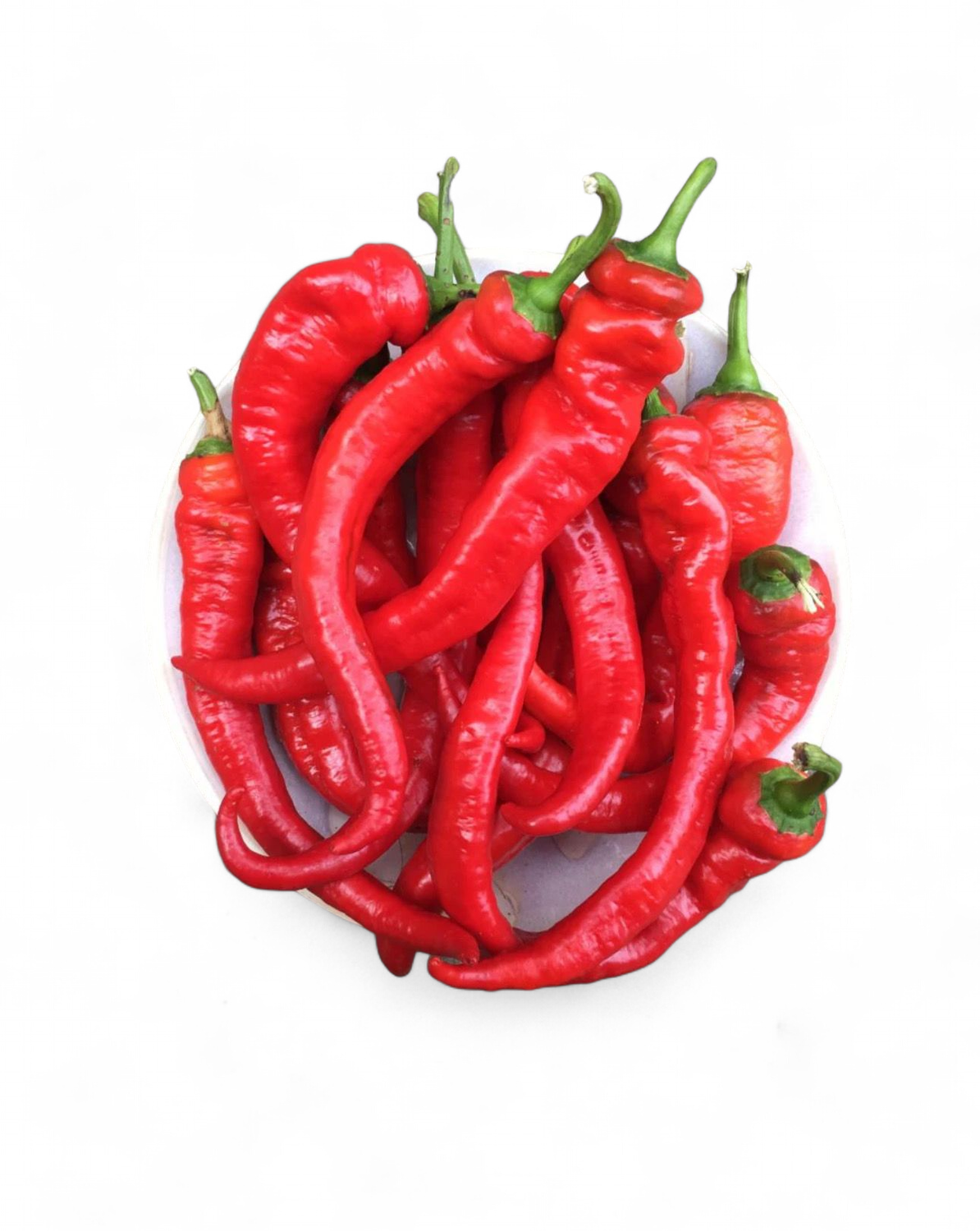 Jimmy Nardello Peppers