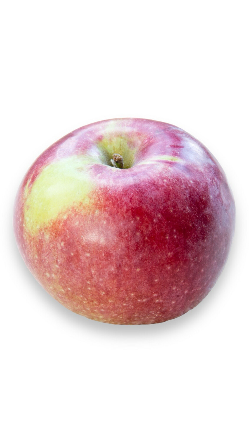 Macoun Apples