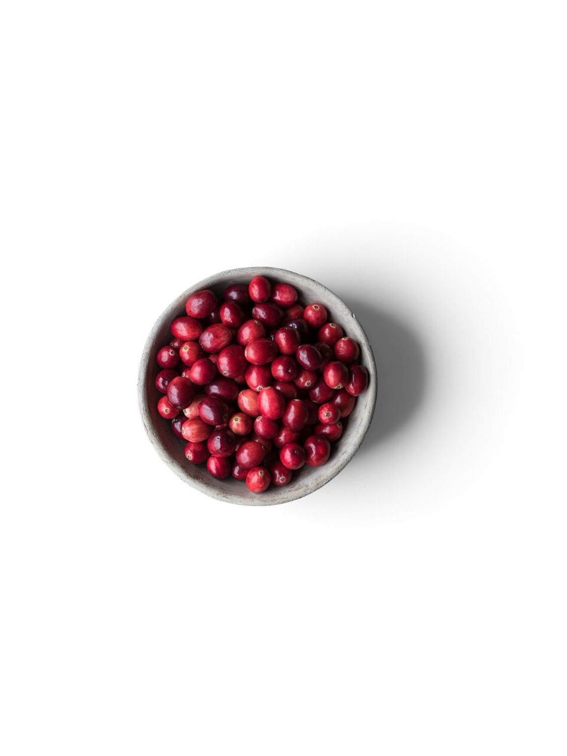 Cape Cod Cranberries