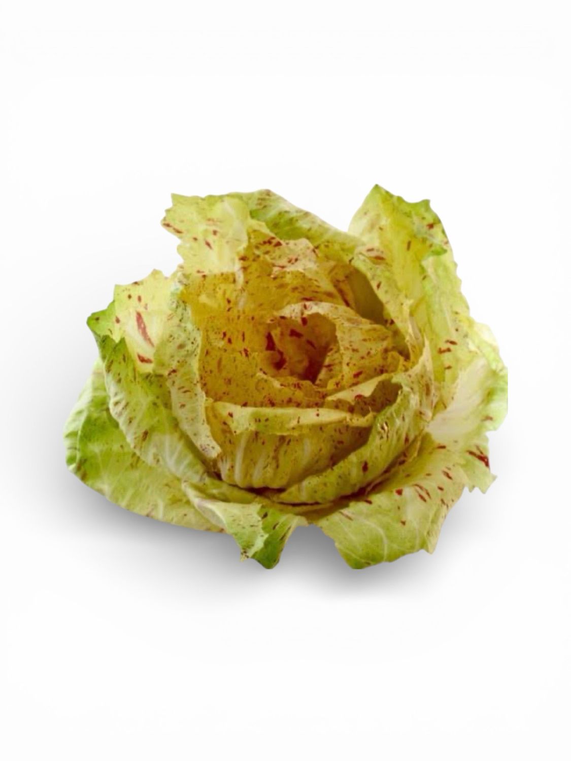 Castelfranco from Italy