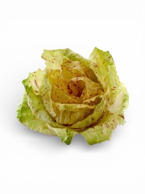 Castelfranco from Italy