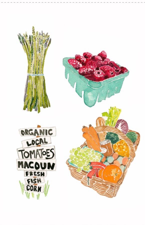 A Study in Watercolor Greeting Cards by Lisa Cummings