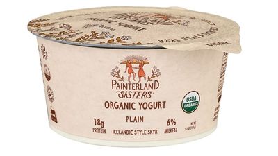 Large Plain Organic Skyr Yogurt Painterland Sisters