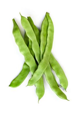 Dutch Runner Beans