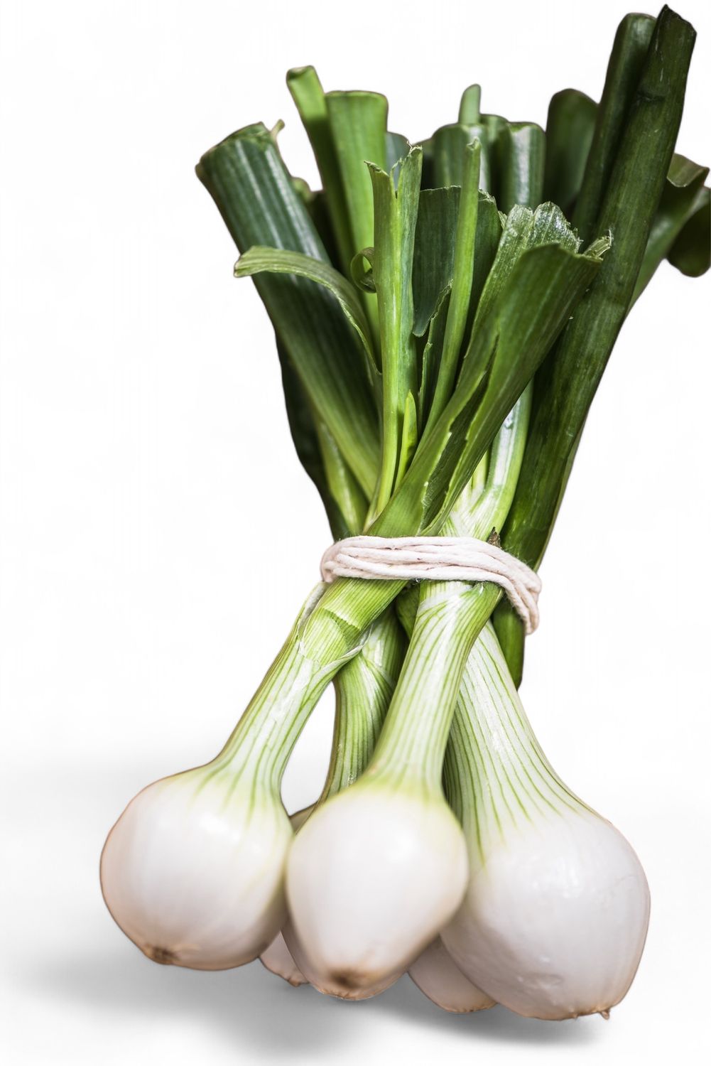 White Spring Onions