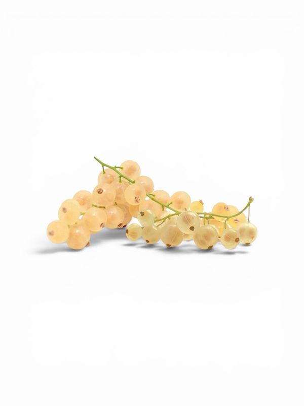 White Currants