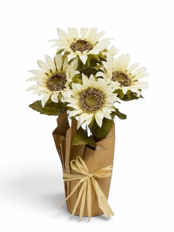 White Sunflowers