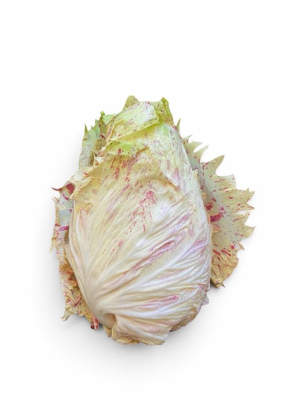 Radicchio Castelfranco by Campo Rossi
