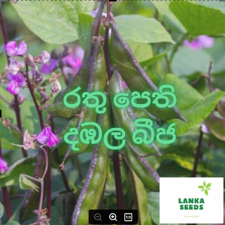 rathu pethi dambala, hyacinth bean seeds
