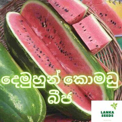 Hybrid water melon seeds