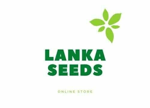 Lankaseeds.com