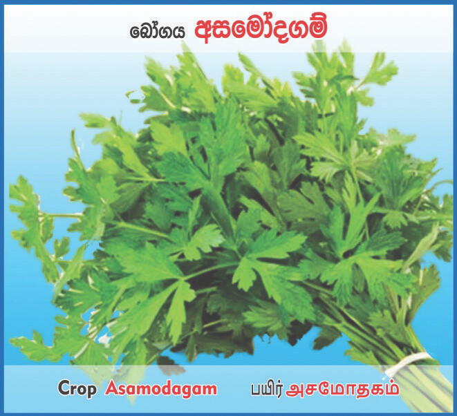 Asamodgam 100 Seeds