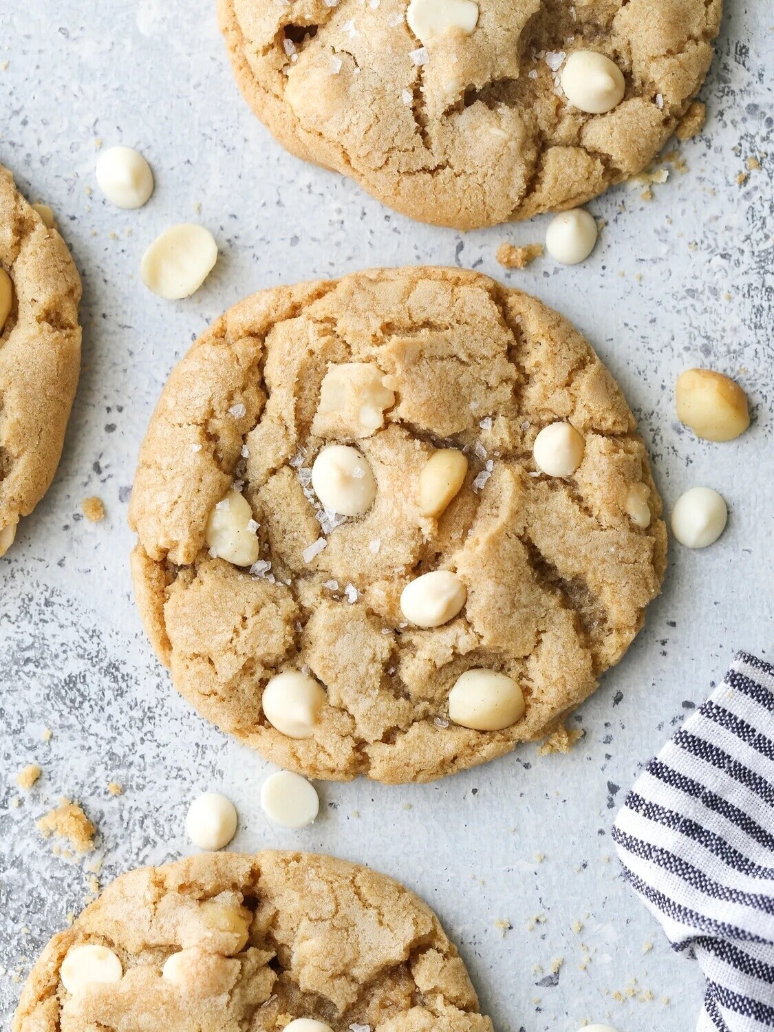 Kookies™ Gourmet Cookies : White Chocolate Macadamia Nut