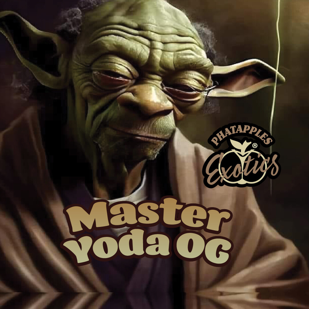 Master Yoda OG Flower