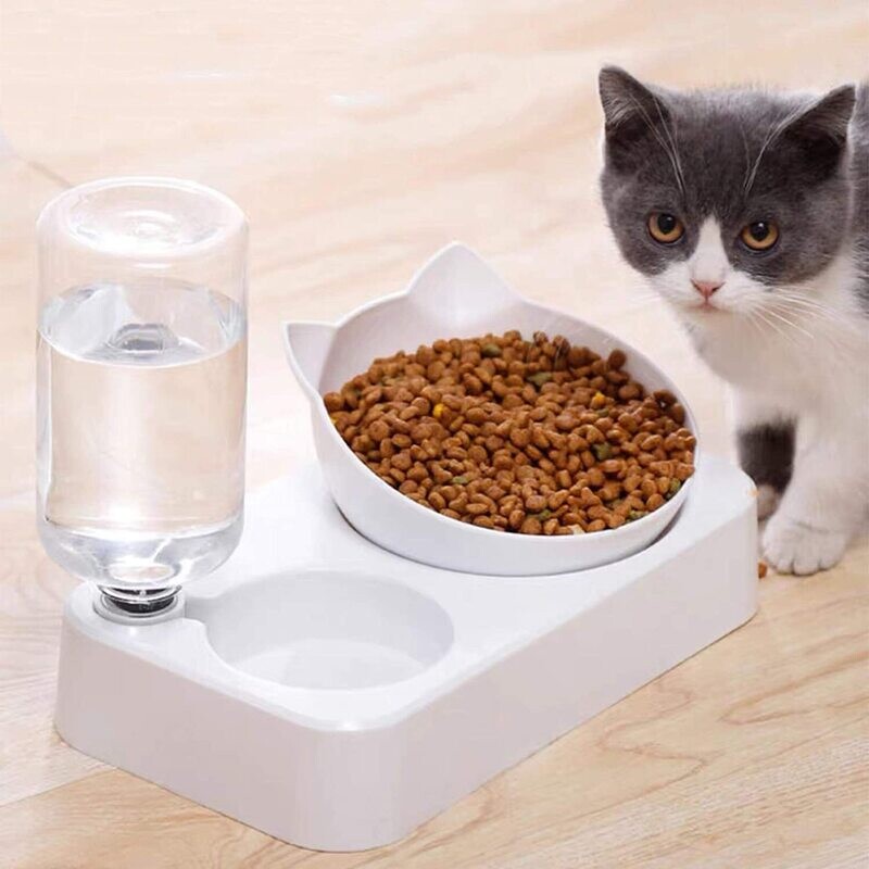 Cats Food and Water Bowls