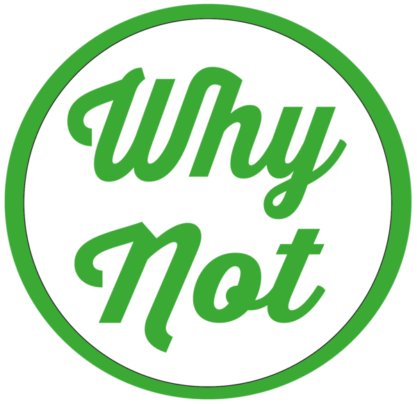 Why Not di Daniela Tedioli
