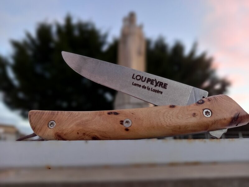 Loupe d'Orme de Lozère