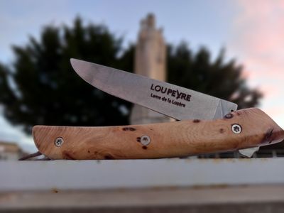 Loupe d'Orme de Lozère