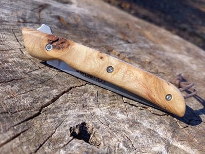 Loupe d'Orme de Lozère