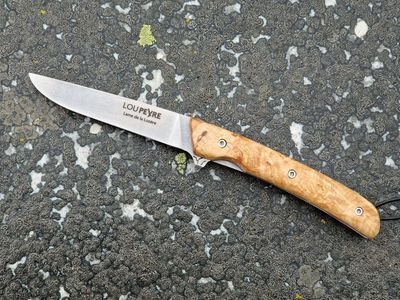 Loupe d'Erable d'Aumont