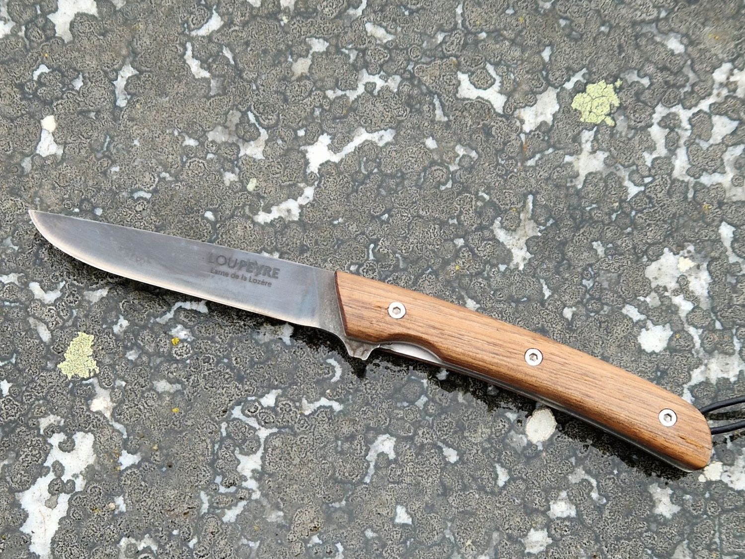 Noyer de Lozère/Acier au carbone/Droitier/PM