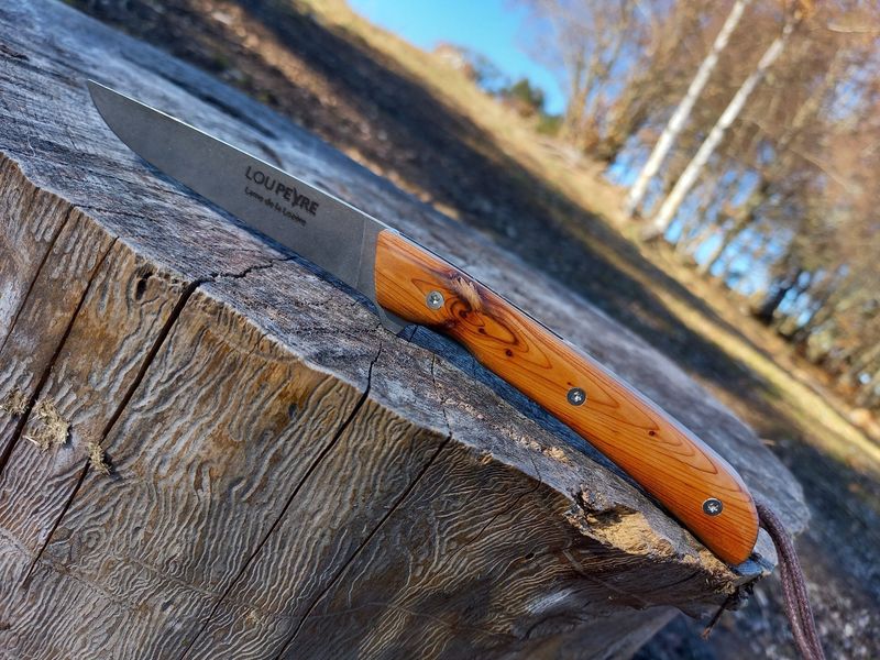 If d'Aumont/lame en MA5/droitier/GM