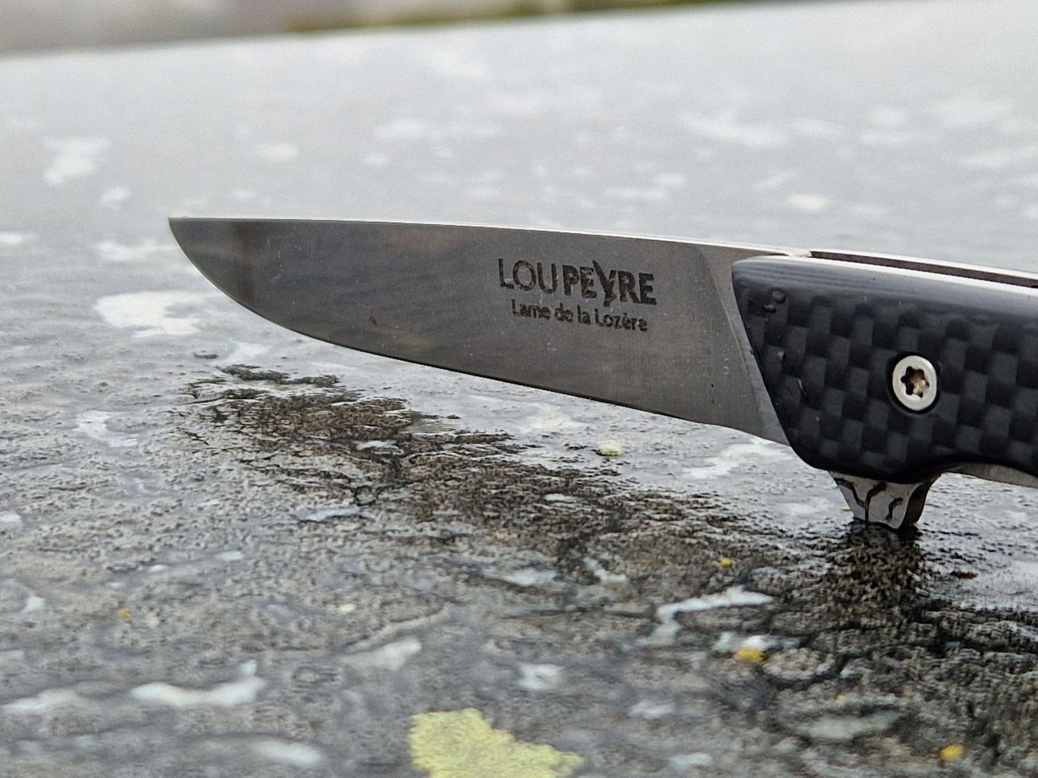 Fibre de Carbone/MA5/droitier/GM