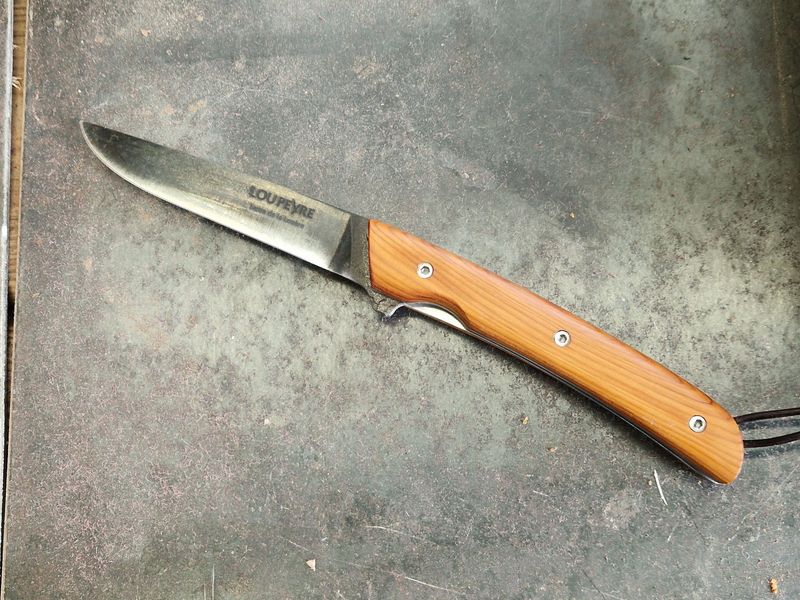 If d'Aumont/Lame en acier au carbone/droitier/PM