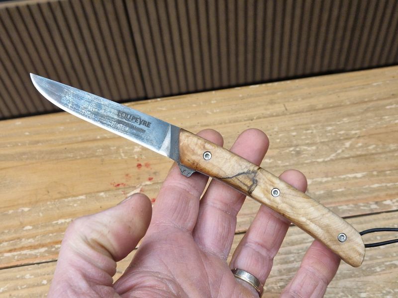 Loupe d'Erable d'Aumont/Lame en acier au carbone/Gaucher/PM