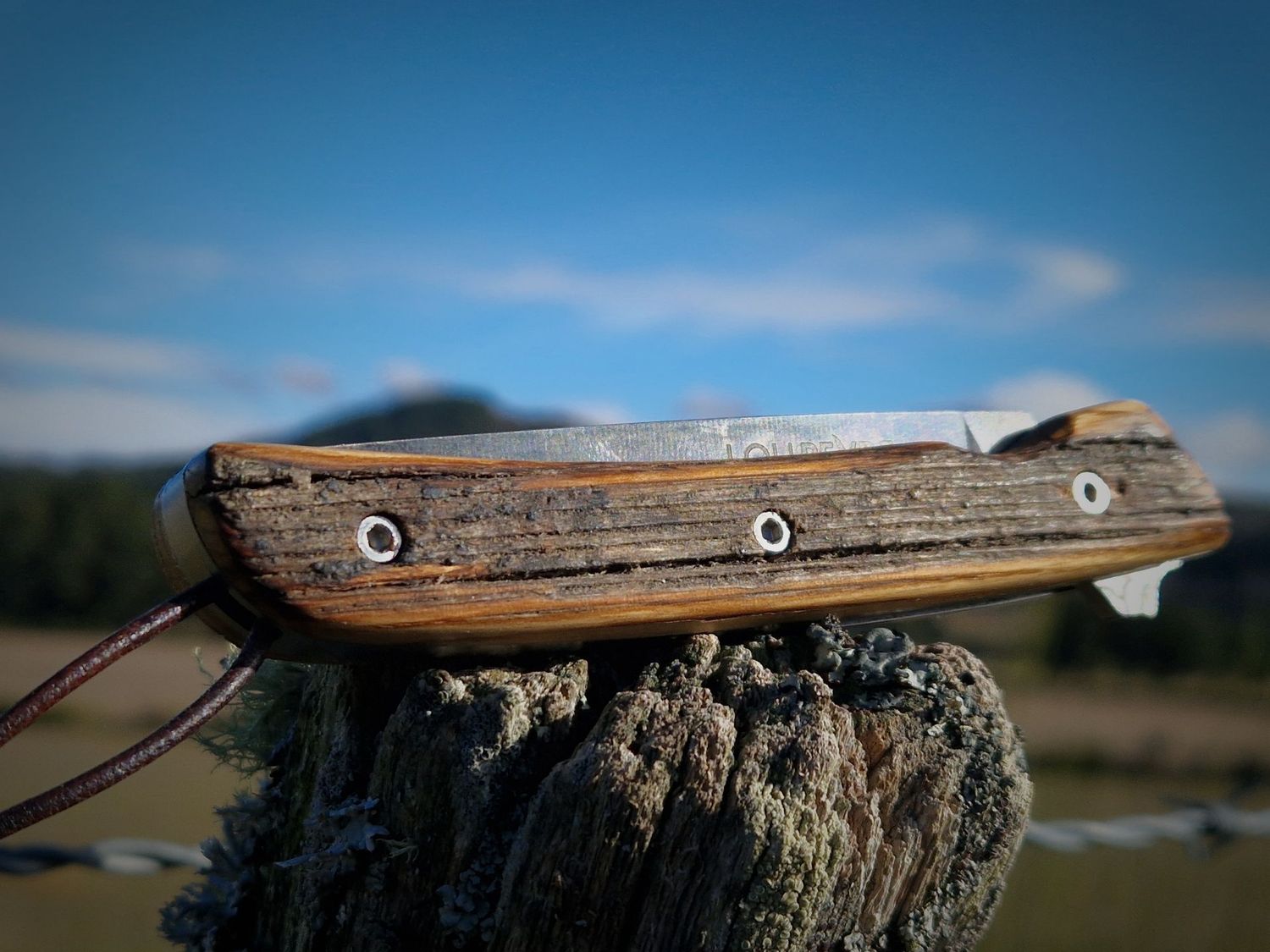 En Piquet de cloture de l'Aubrac