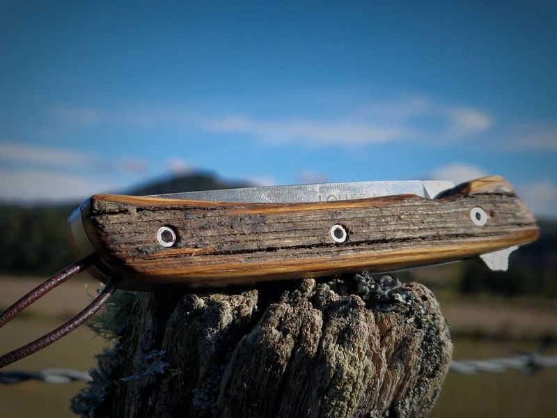 En Piquet de cloture de l'Aubrac