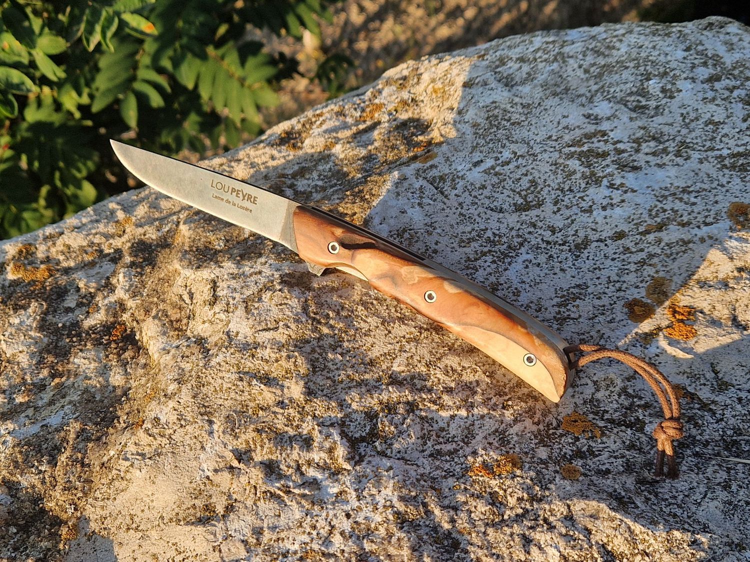 Du cognassier de l'Ancien chemin Royal d'Aumont