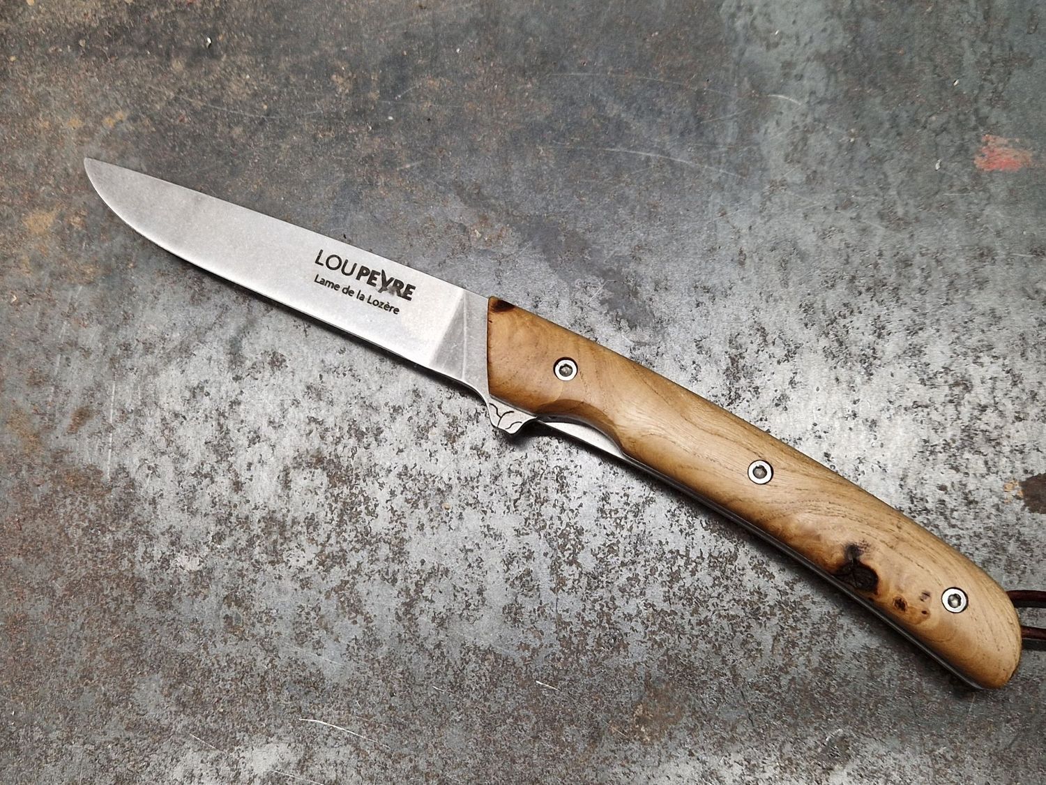 Loupe d'Orme de Lozère/Lame en MA5/Droitier/GM