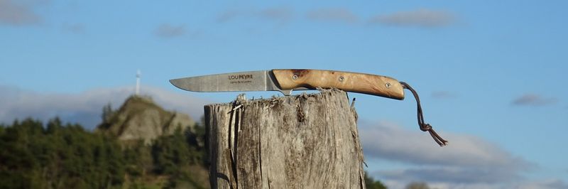 Loupe d'orme de Lozère/lame en MA5/droitier/PM