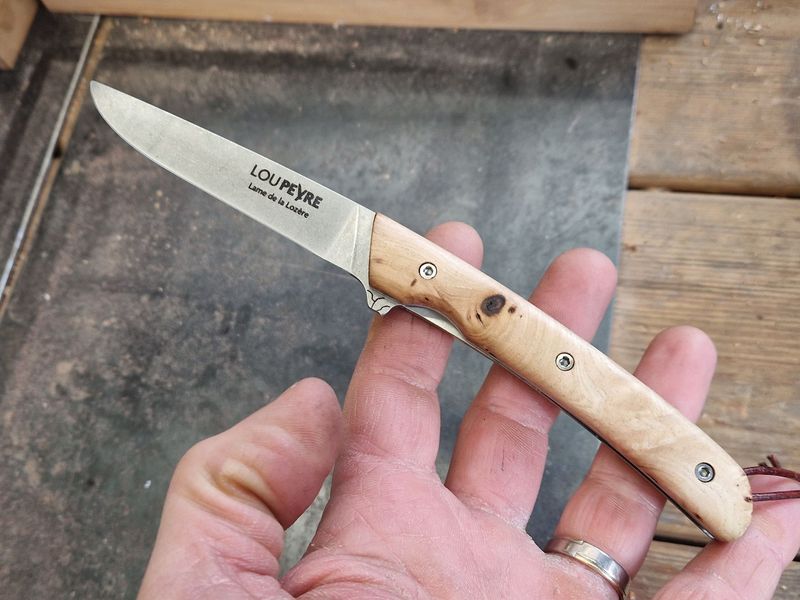 Loupe d'orme de Lozère/lame en MA5/droitier/PM