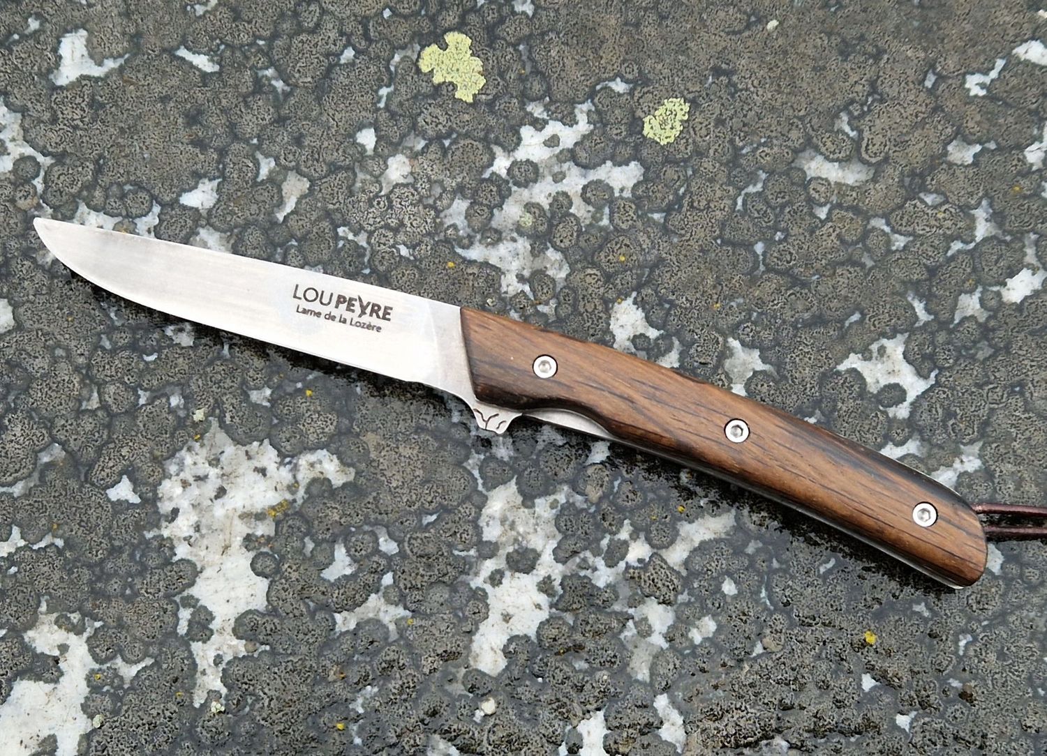 Morta de Lozère /Lame en MA5/Droitier/GM